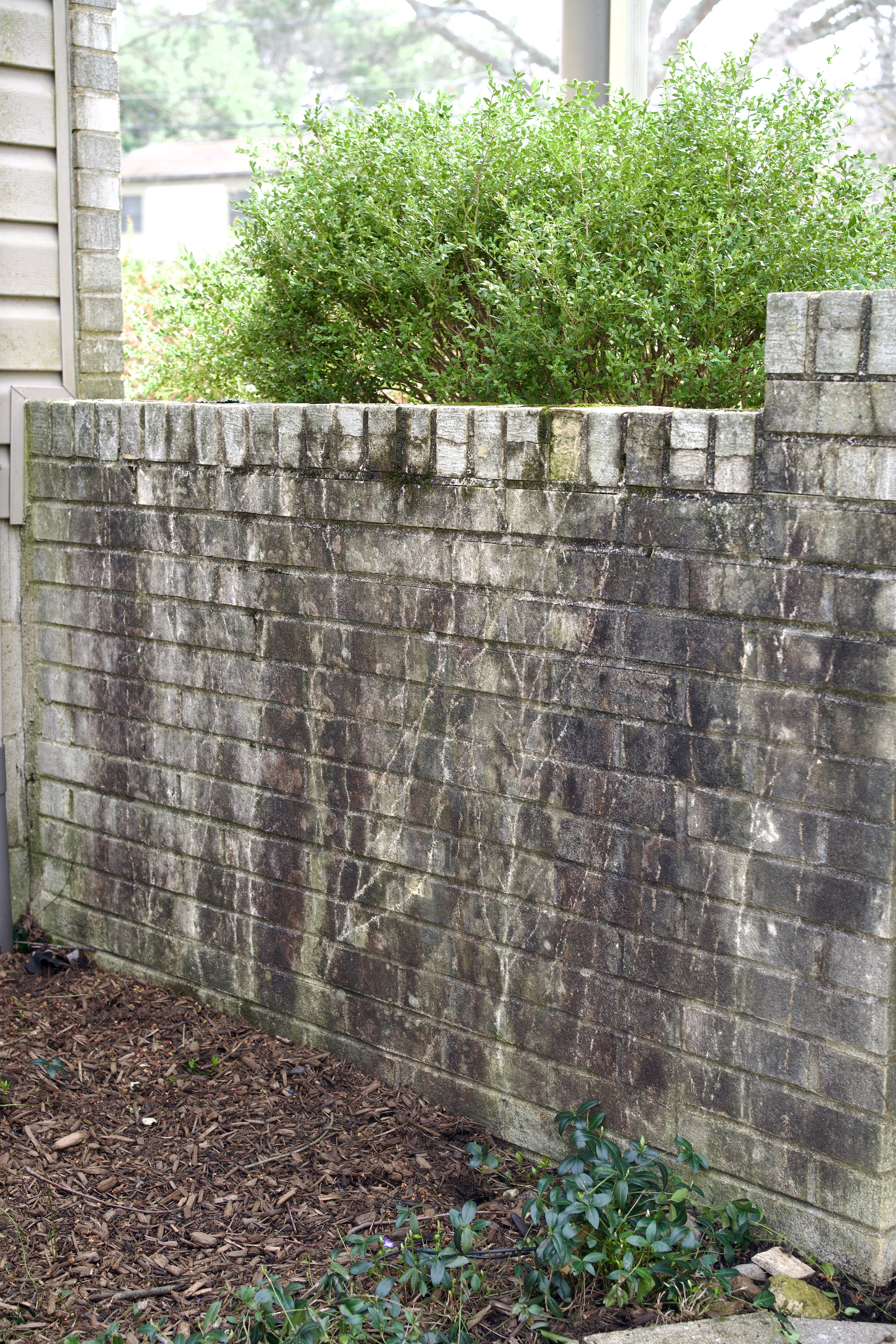 Alpha Power Washing Deck Cleaning before/after in New Albany, OH — before