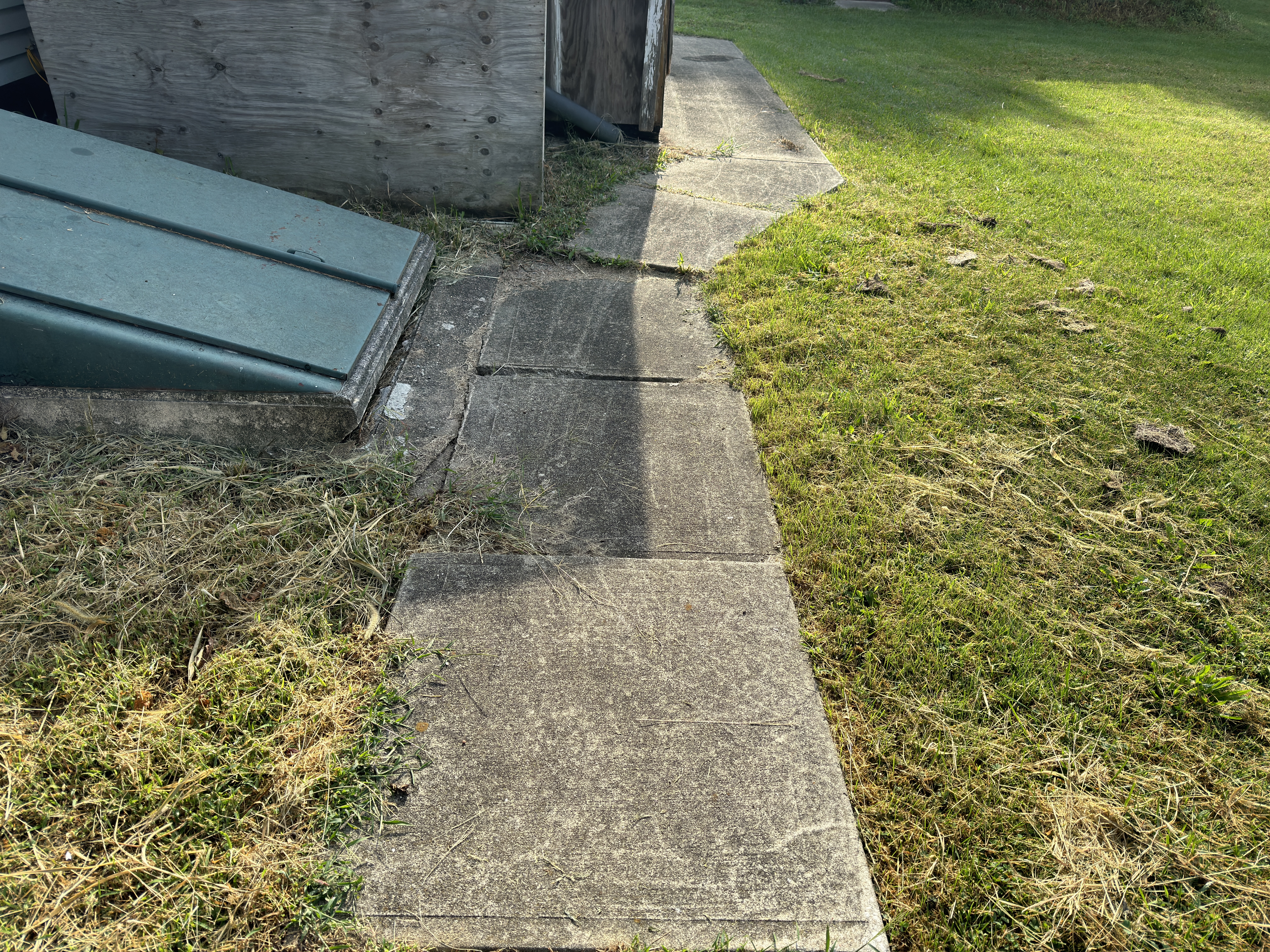 Alpha Power Washing Roof Washing before/after in Worthington, OH — before