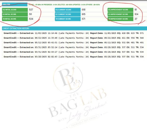 Bag Lab result 4