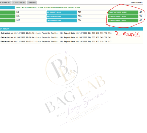 Bag Lab result 8