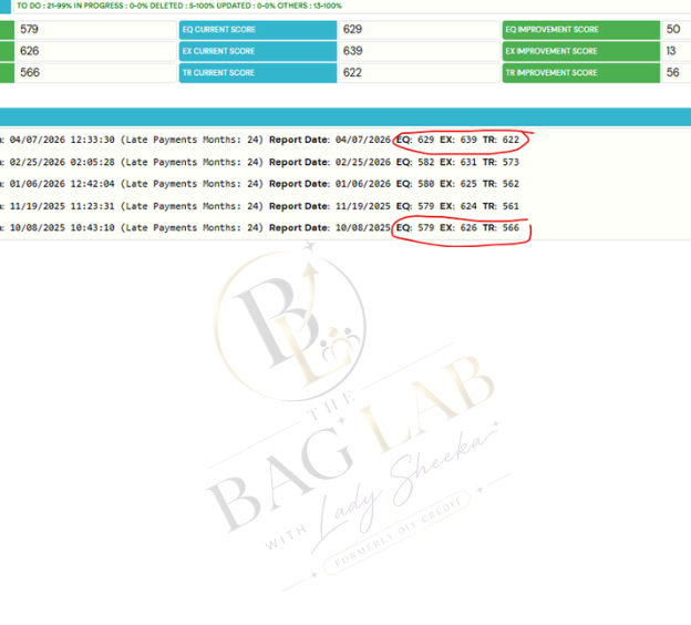 Bag Lab result 10