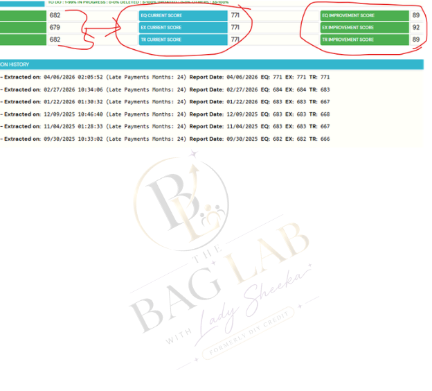 Bag Lab result 9