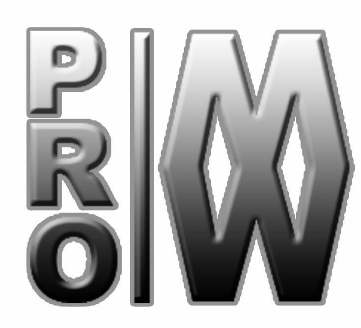 ProMachineWorks Logo