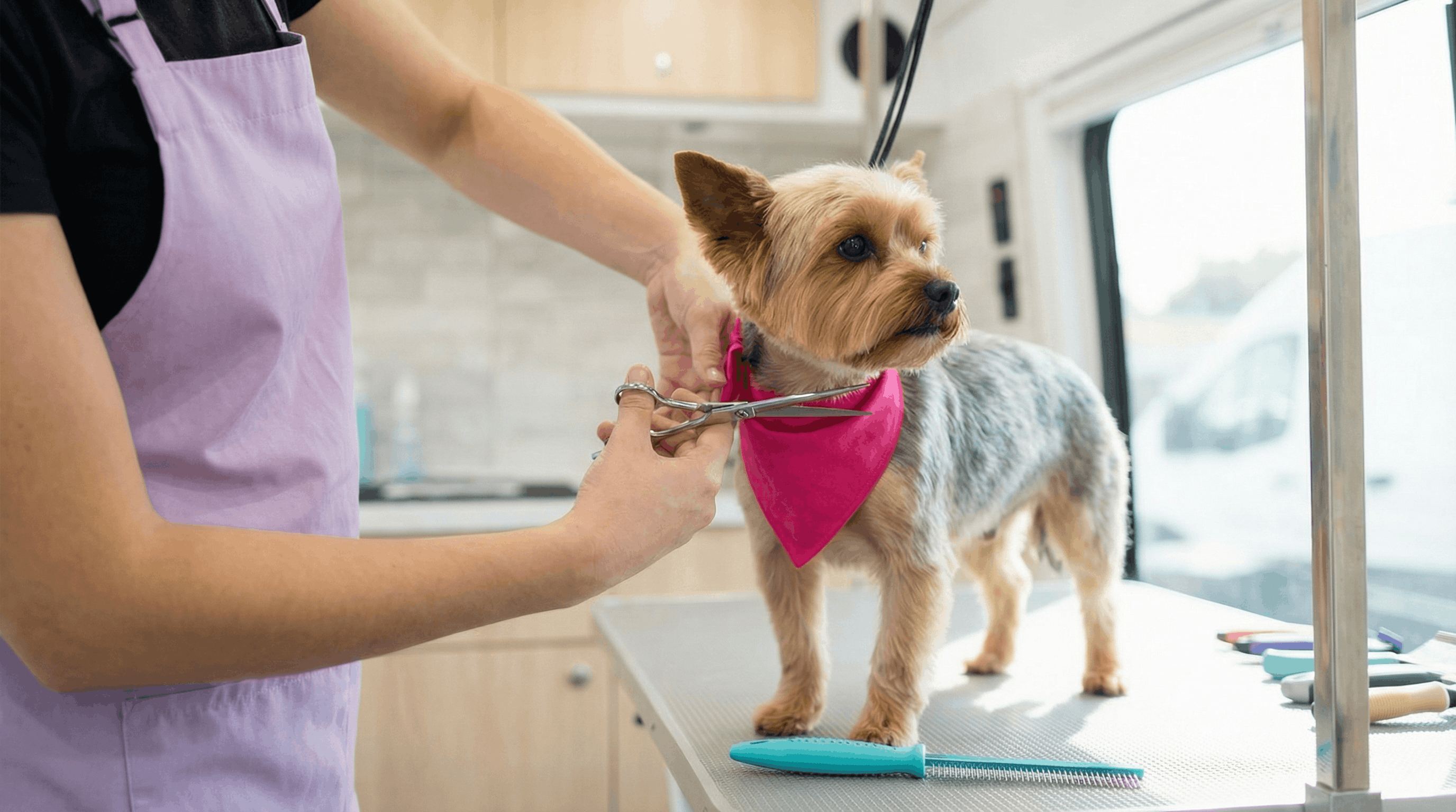 Mobile Dog Grooming Services - Professional grooming van in Riverside CA