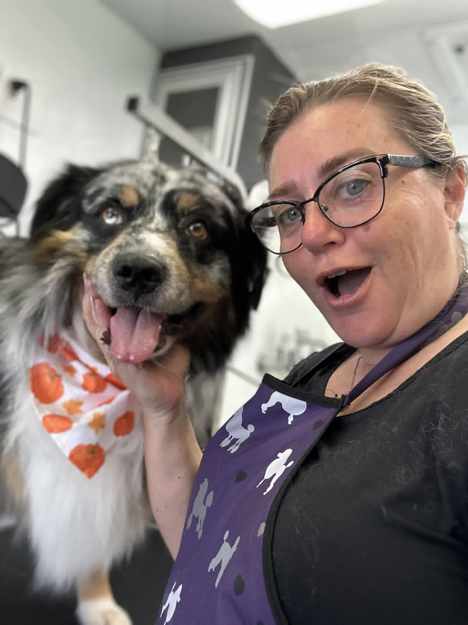 Happy dog being gently handled during grooming
