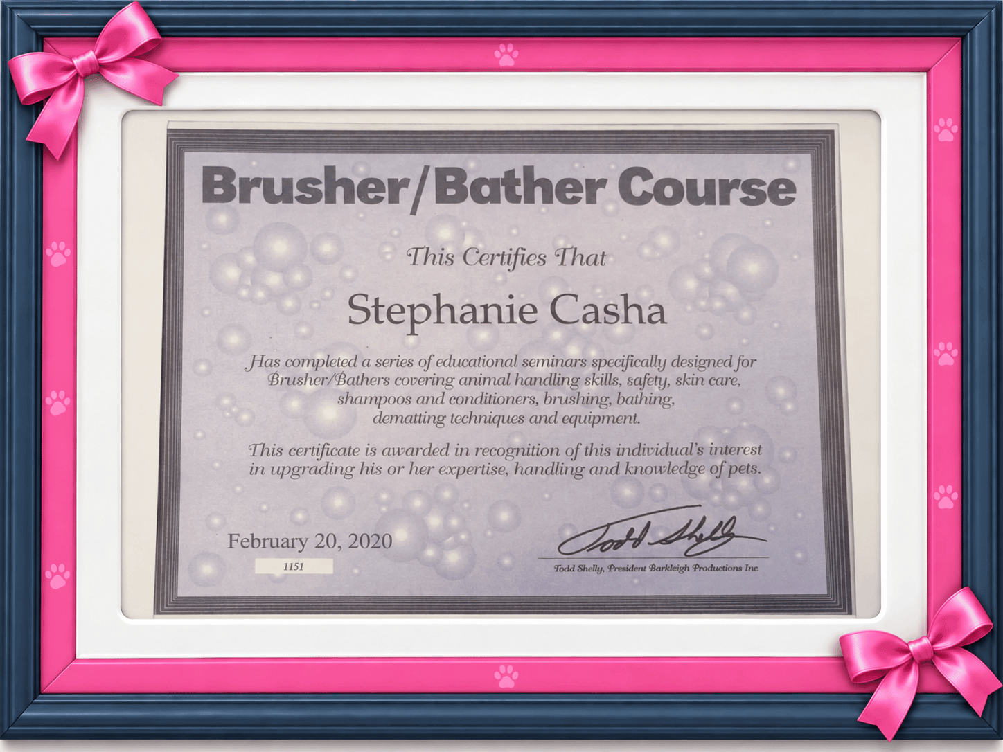 Brusher and Bather Course completion certificate