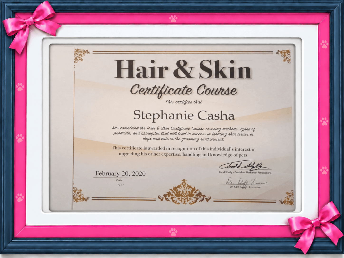 Hair and Skin Certificate Course completion certificate
