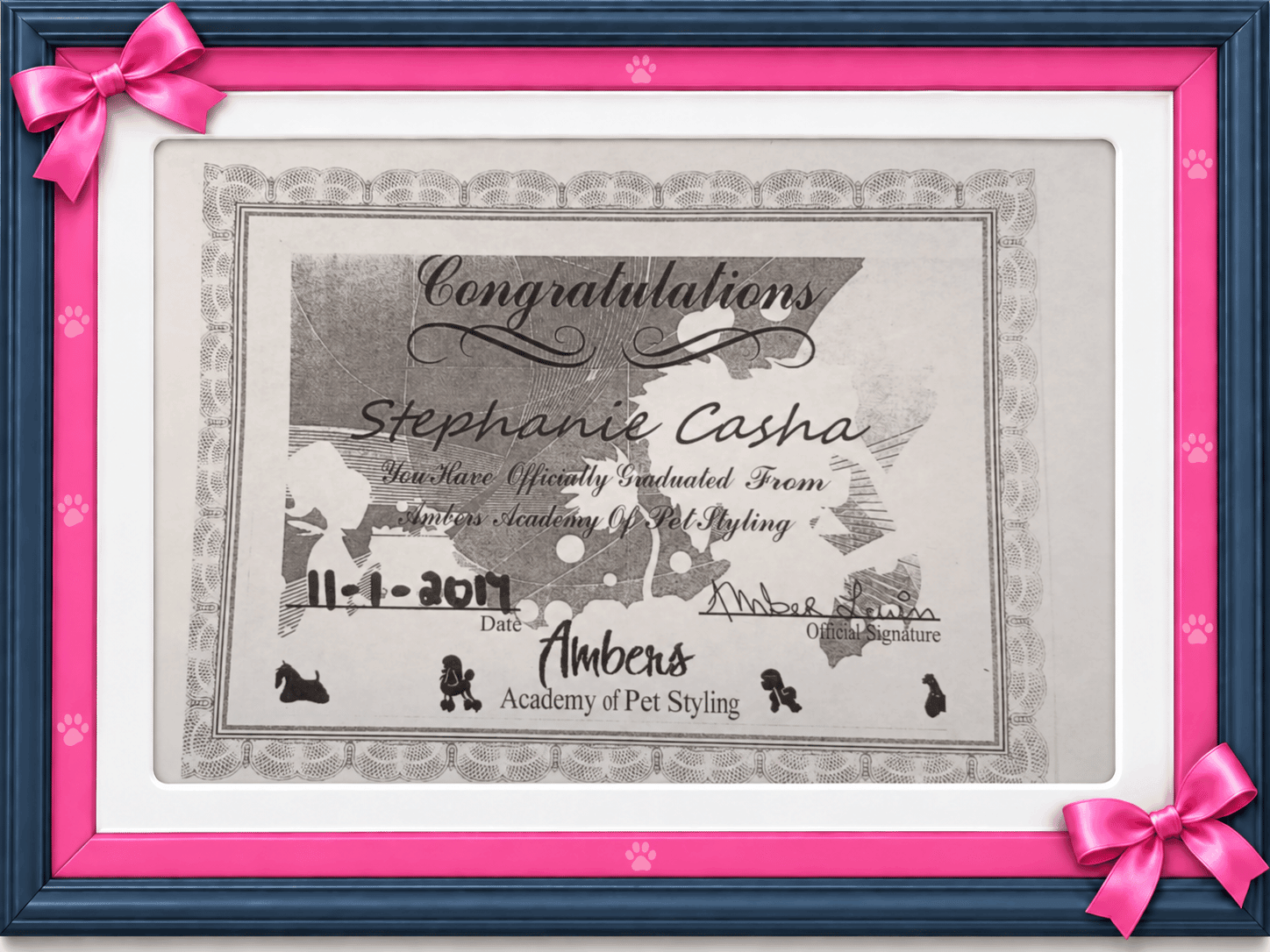 Academy of Pet Styling certificate of completion