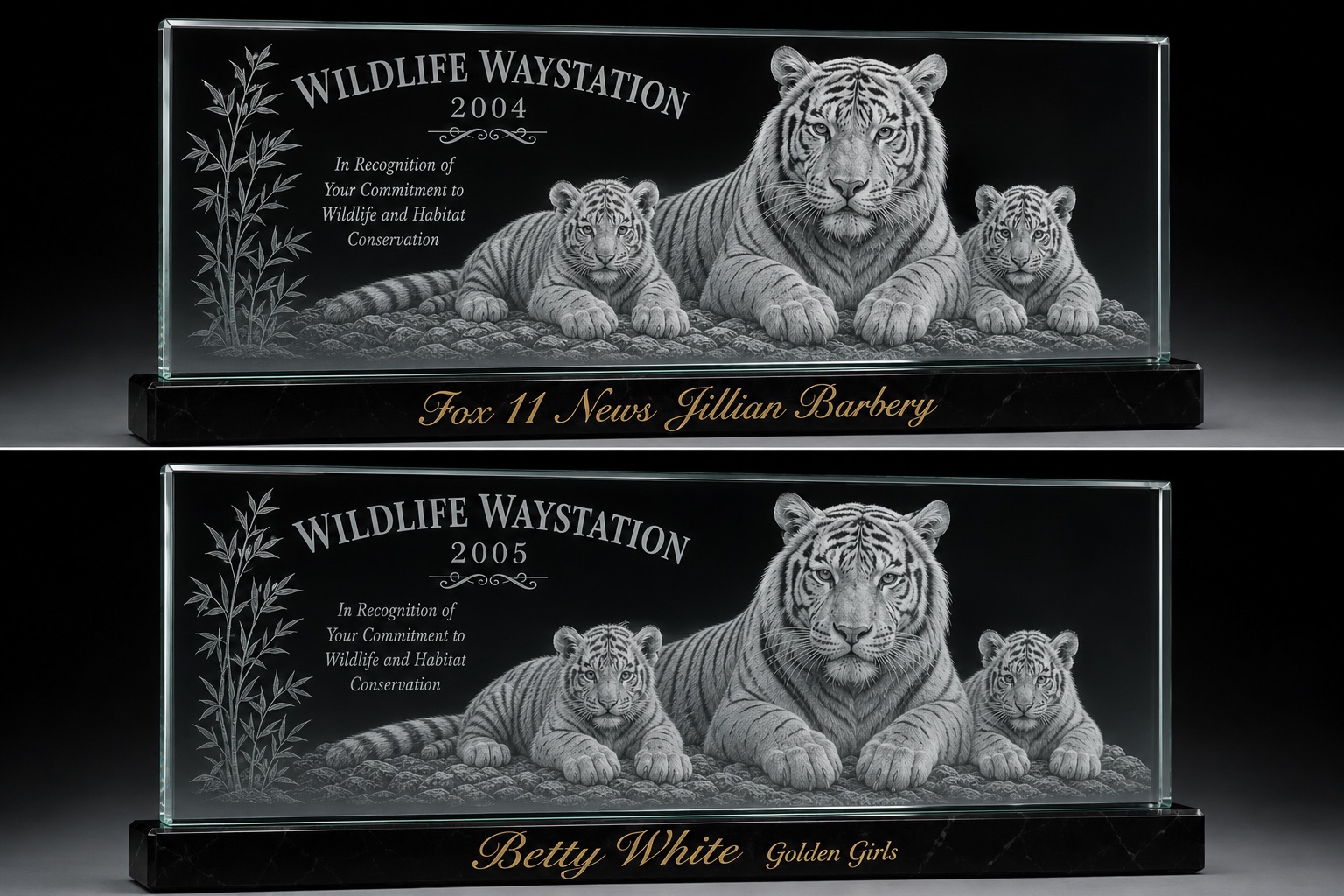 Wildlife Way Station tiger glass collection by Gregory Holder