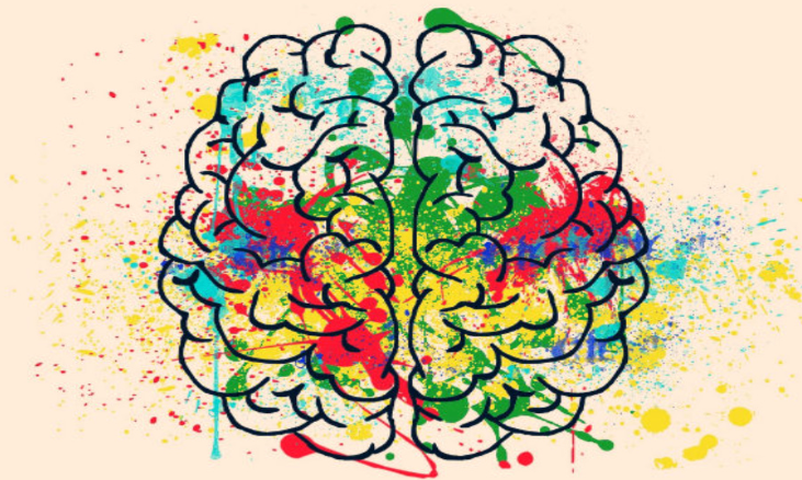 Colorful illustration of a human brain representing neuroscience, behaviour regulation, and how predictability supports learning and emotional regulation in the classroom. Colorful illustration of a human brain representing neuroscience, behaviour regulation, and how predictability supports learning and emotional regulation in the classroom.