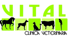 Clinica Veterinaria Vital Villeta
