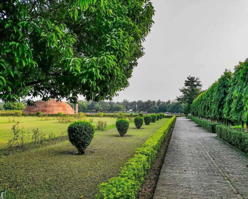 Landscaping