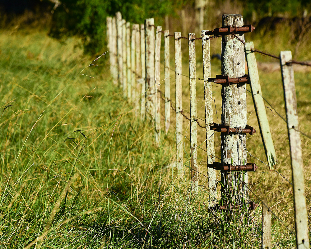 Fencing