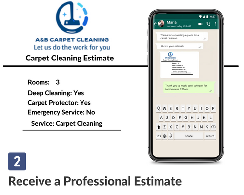Carpet Cleaning