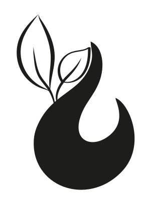 Trauma Raíz Carta Bazi