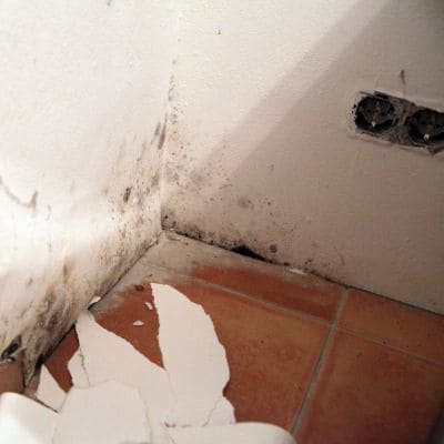 Mold and water damage on tiled floor