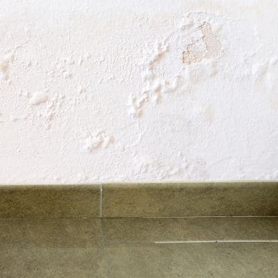 Wall paint bubbling from moisture damage