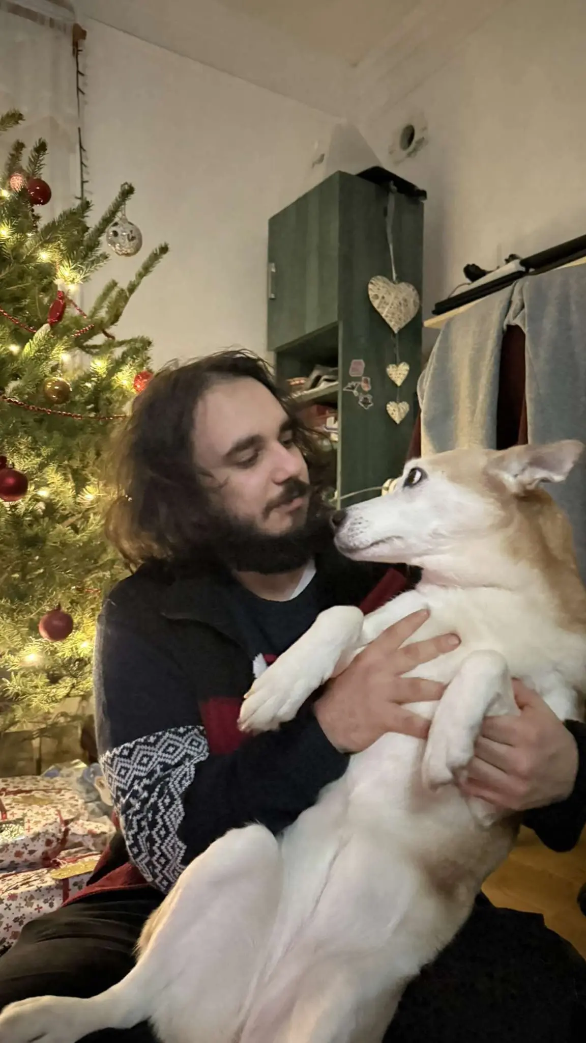 Hector looking at a dog during Christmas time