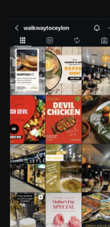 Walkway to Ceylon&rsquo;s Instagram grid before: mixed promo tiles and shopfront snaps