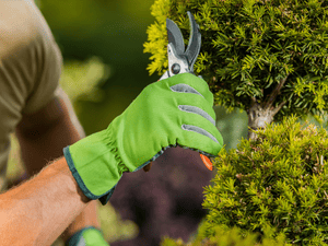 Takedowns in All of York county