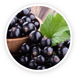 Blackcurrant