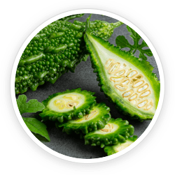 Bitter Melon