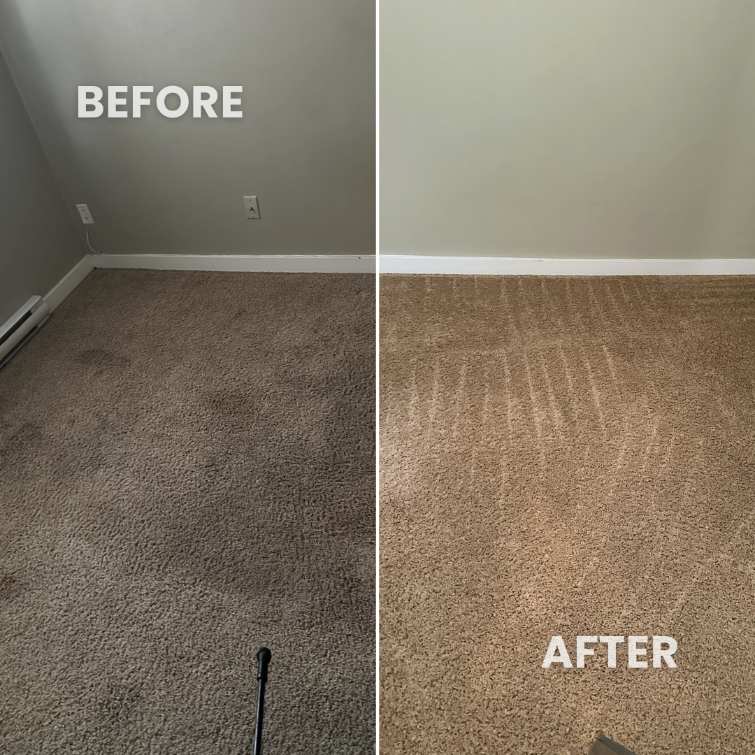Carpet cleaning before and after in Winnipeg