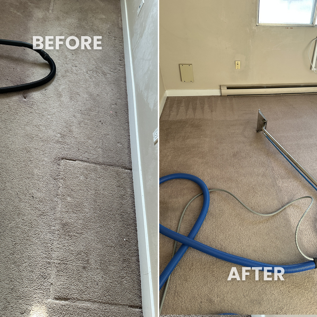 Professional carpet cleaning before and after results