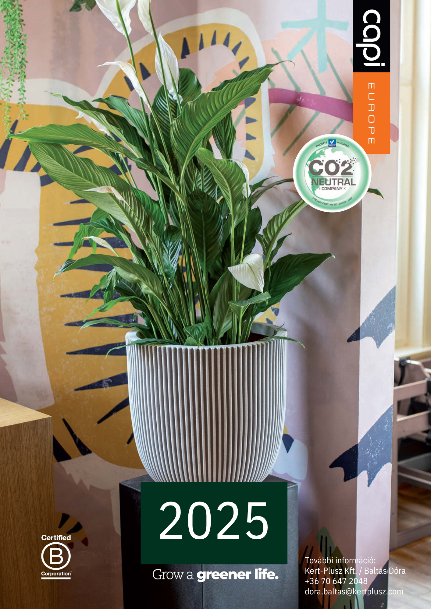 Katalógus előnézet