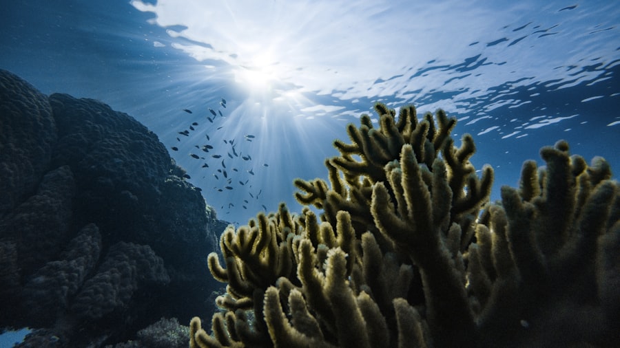 Acqua naturale, mare incontaminato
