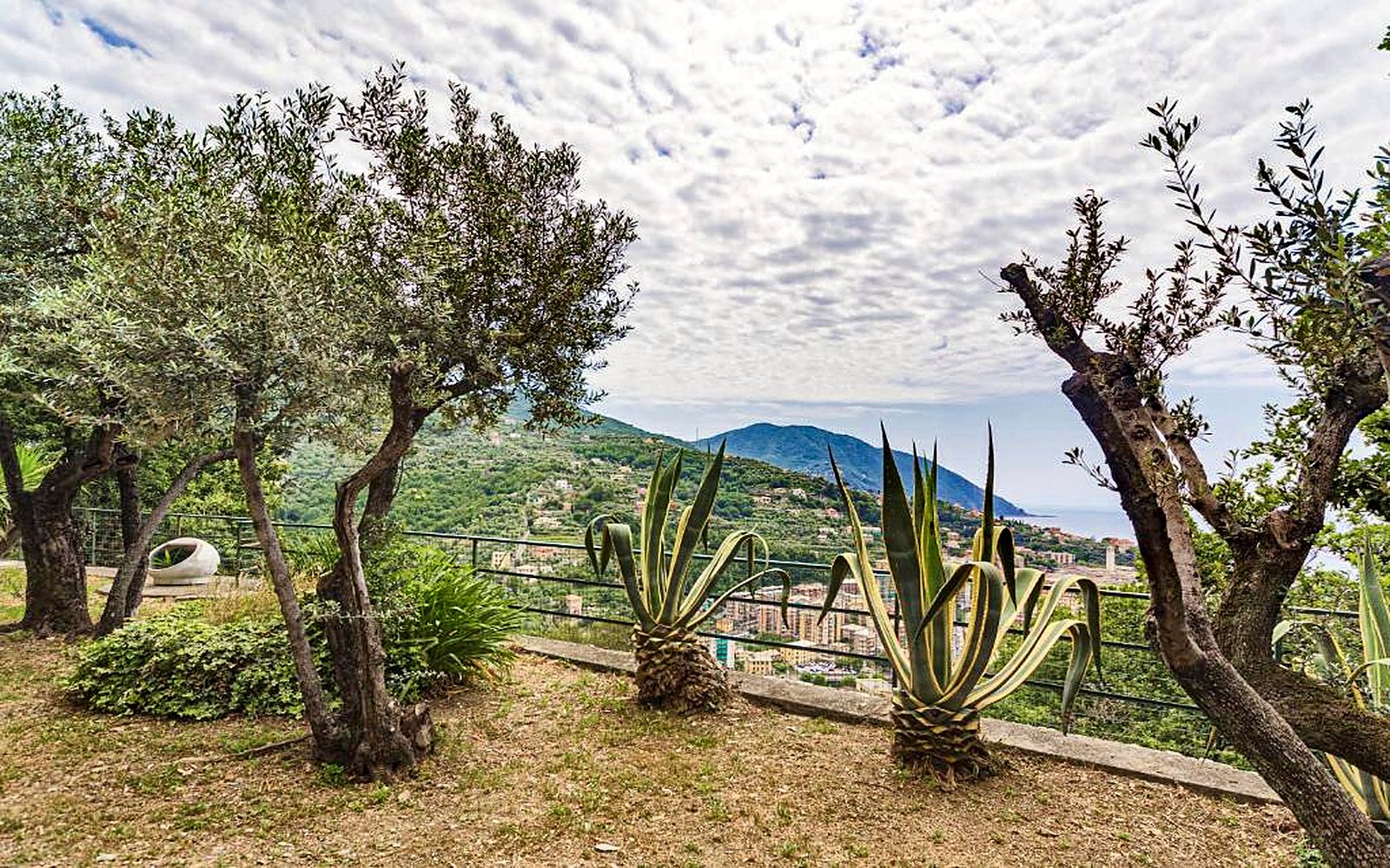 Giardino con ulivi e vista mare sulla Riviera di Levante