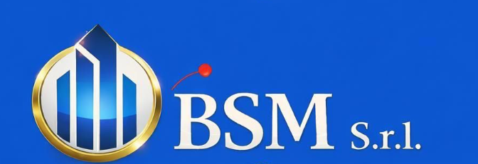 BSM s.r.l.