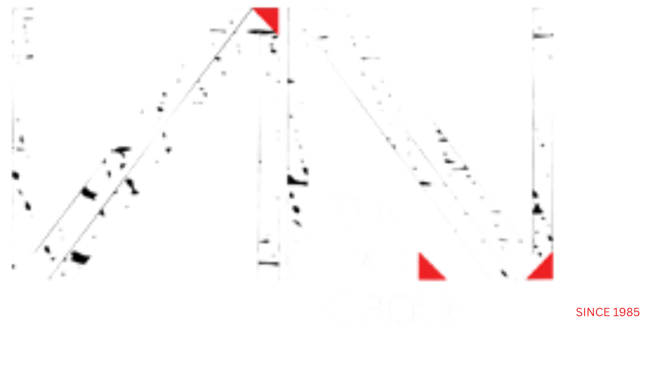 The Van Group