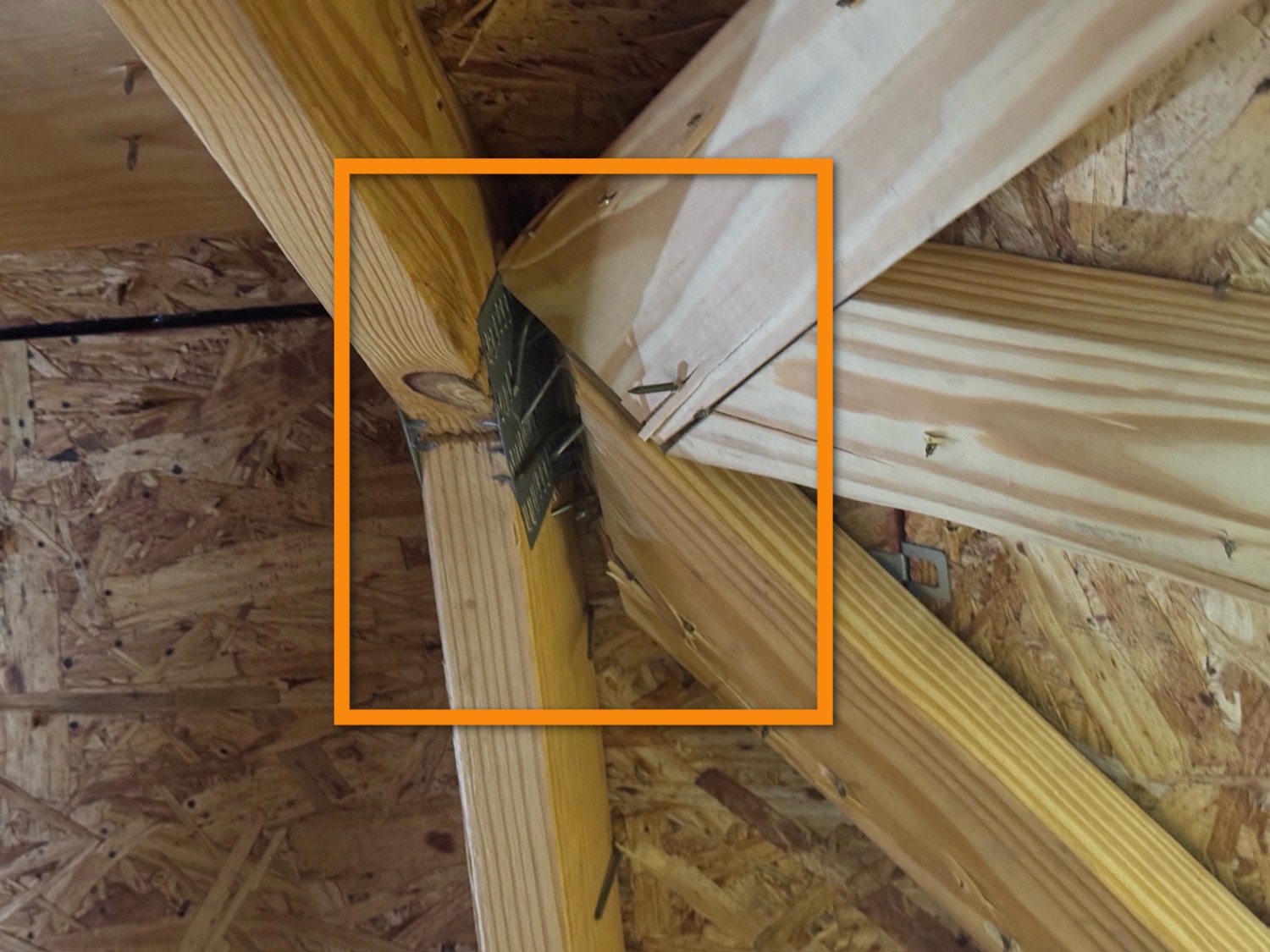 Roof framing examined during an inspection