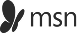 MSN Logo