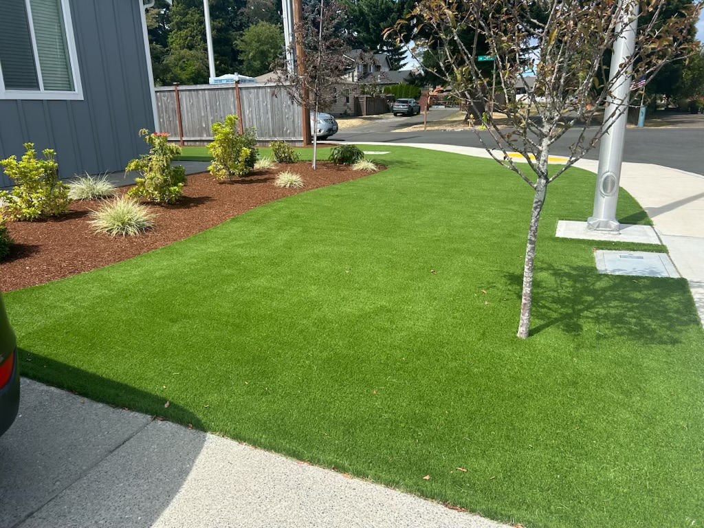 Front yard turf bordered by shrubs, ornamental grasses, and a sidewalk