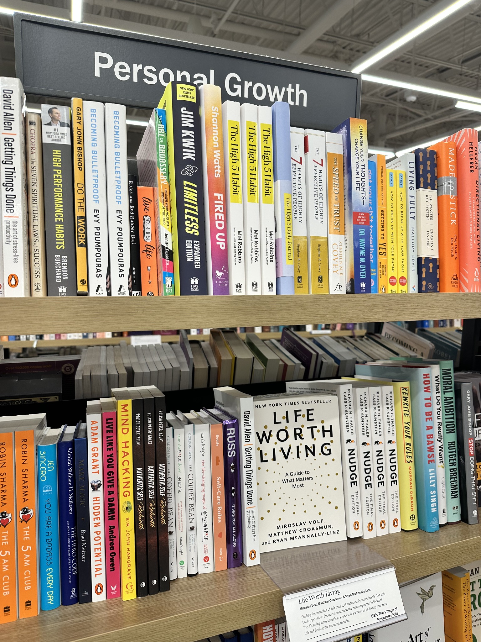 Authentic Self Rebirth on a Barnes & Noble shelf