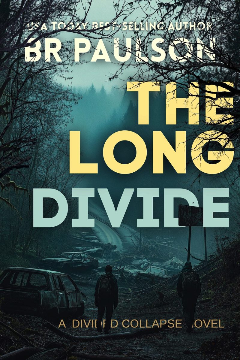 The Long Divide cover