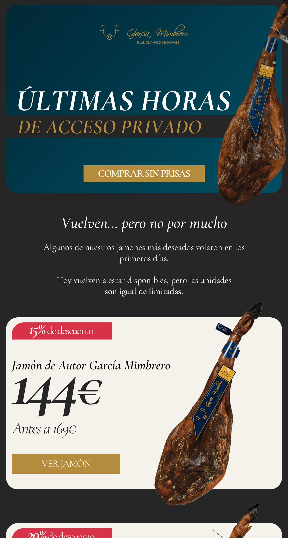Ejemplo de email de Black Friday