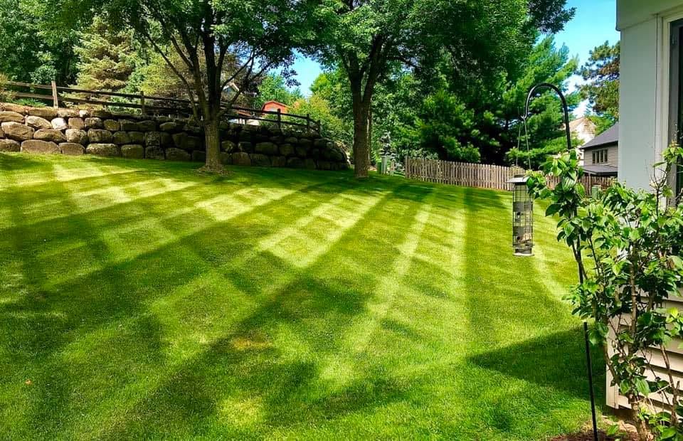 Lawn Mowing & Maintenance