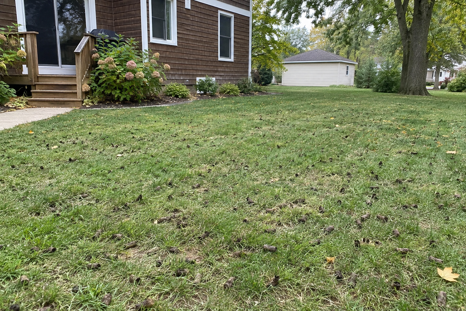 Madison Green Team lawn care detail photo