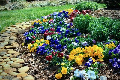 Landscaping in Greenville