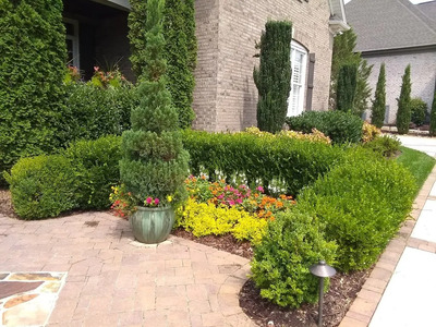 Mulch Installation in Greer
