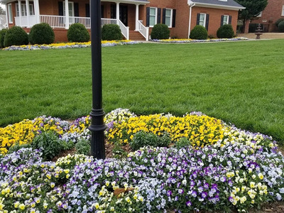 Flower Beds in Greer