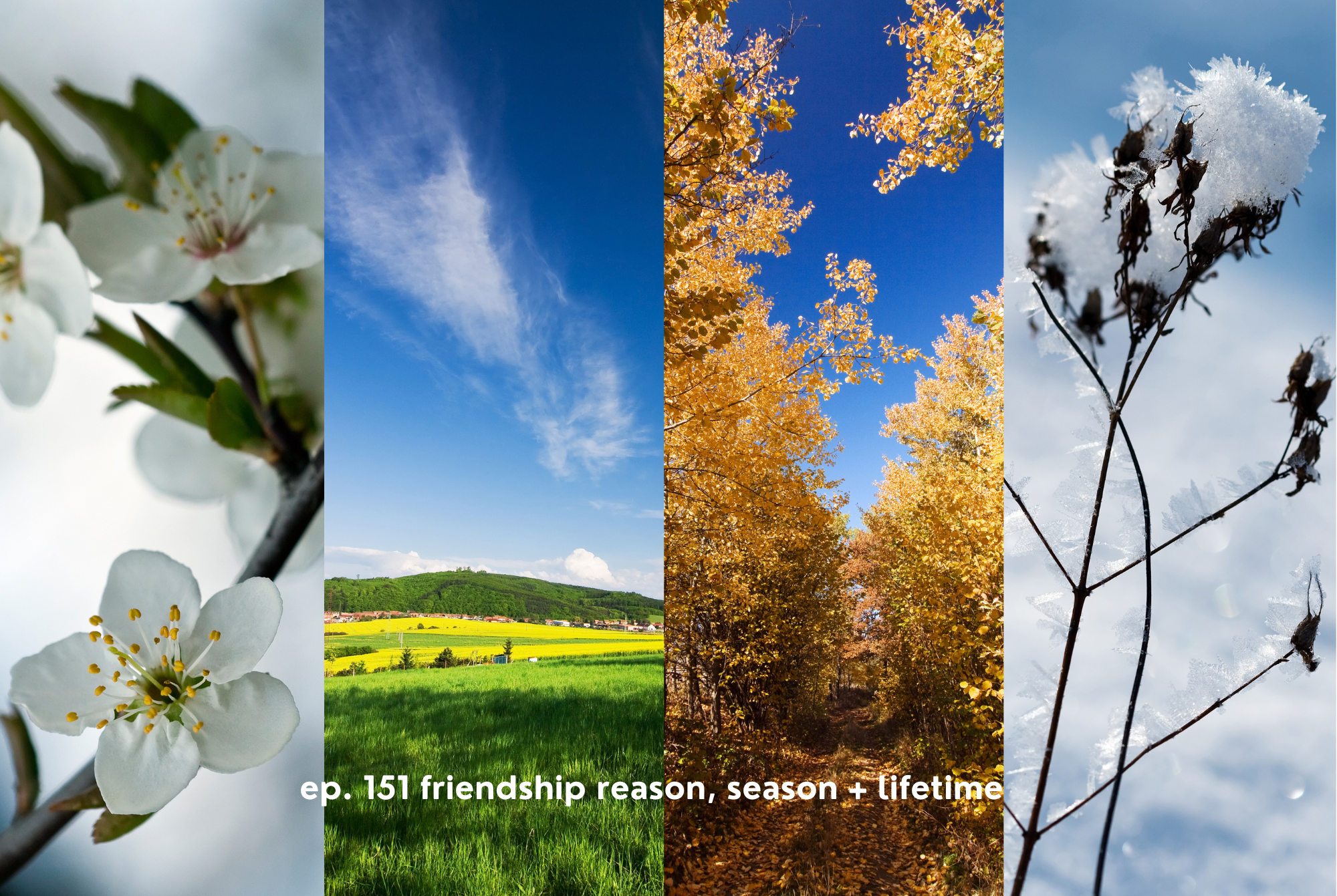 I once learned that friendships and relationships are in your life for a reason, a season, or a lifetime. I'm gonna share some of my experiences to help you understand your own. I once learned that friendships and relationships are in your life for a reason, a season, or a lifetime. I'm gonna share some of my experiences to help you understand your own.