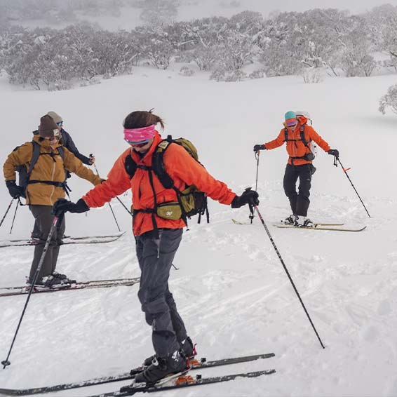 Wild Winter Immersion Snowy Mountains