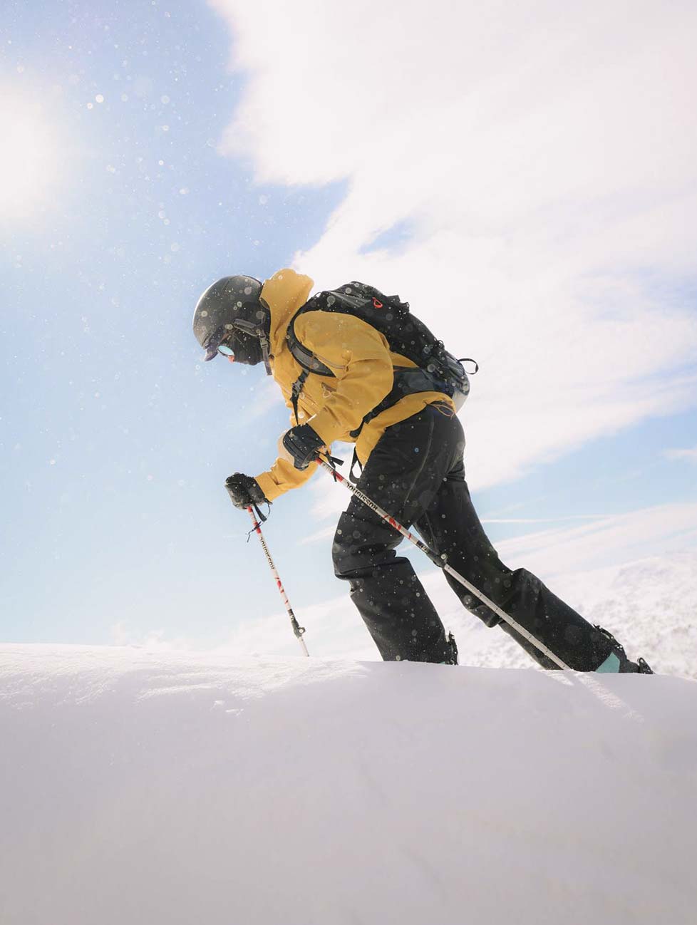 Wild Winter Immersion 2026