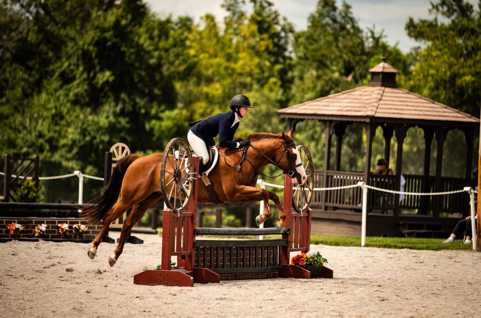 Sales Robinson Equestrian