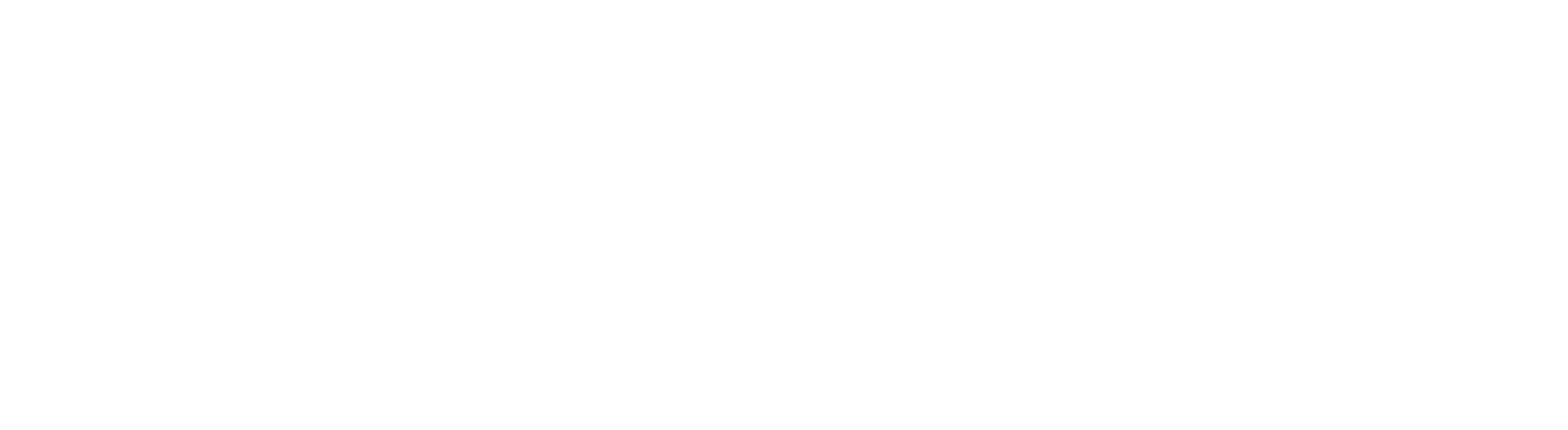 Vail Digital Solutions