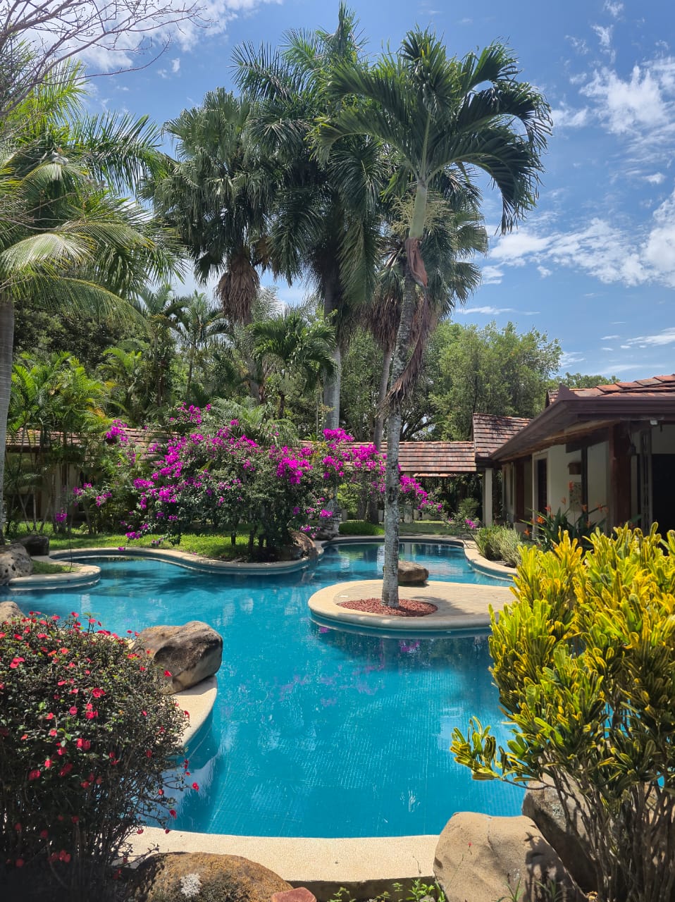 Revela Retreats Costa Rica retreat image 2